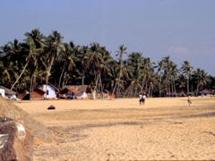 lighthouse beach