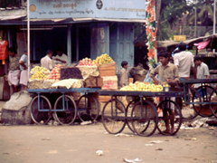 markt in trirunv.