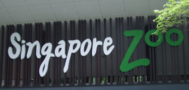 der singapur zoo